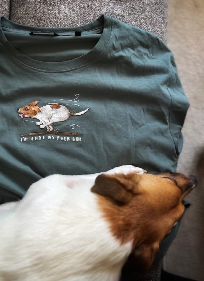 Jack Russell Terier - Image 4